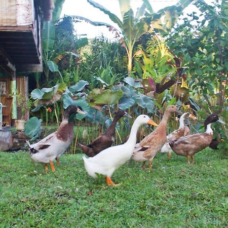 Jasri Dalem Surf Retreat Villa Buitenkant foto