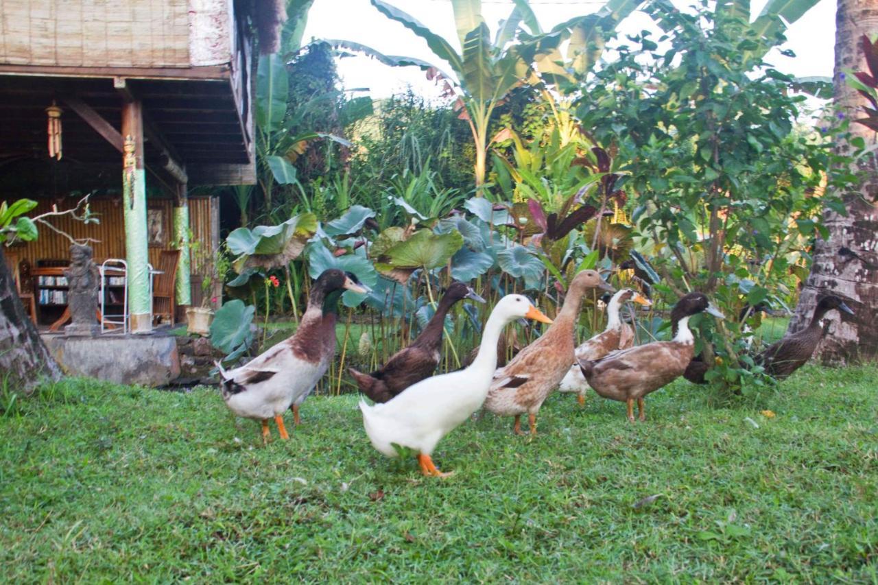 Jasri Dalem Surf Retreat Villa Buitenkant foto