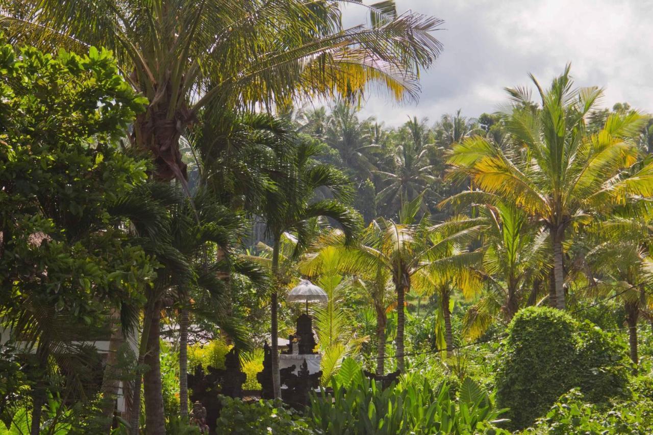 Jasri Dalem Surf Retreat Villa Buitenkant foto
